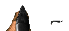 DukeShotgun