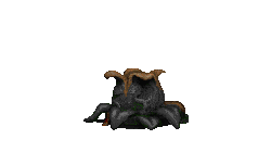 HellRose.png