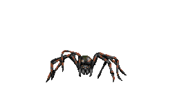 InfernalSpider.png
