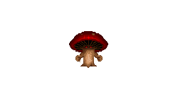 SentientMushroom