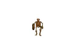 Skeleton
