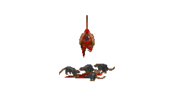 SmallRat