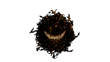 Venor