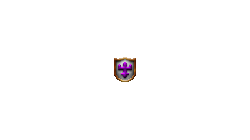 CrusaderShield
