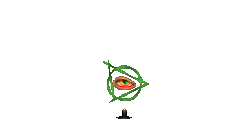 DevEye