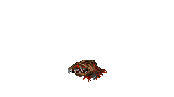 Monster Head.png Monster Head.png