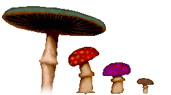 Mushrooms