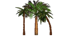 PalmTrees.png